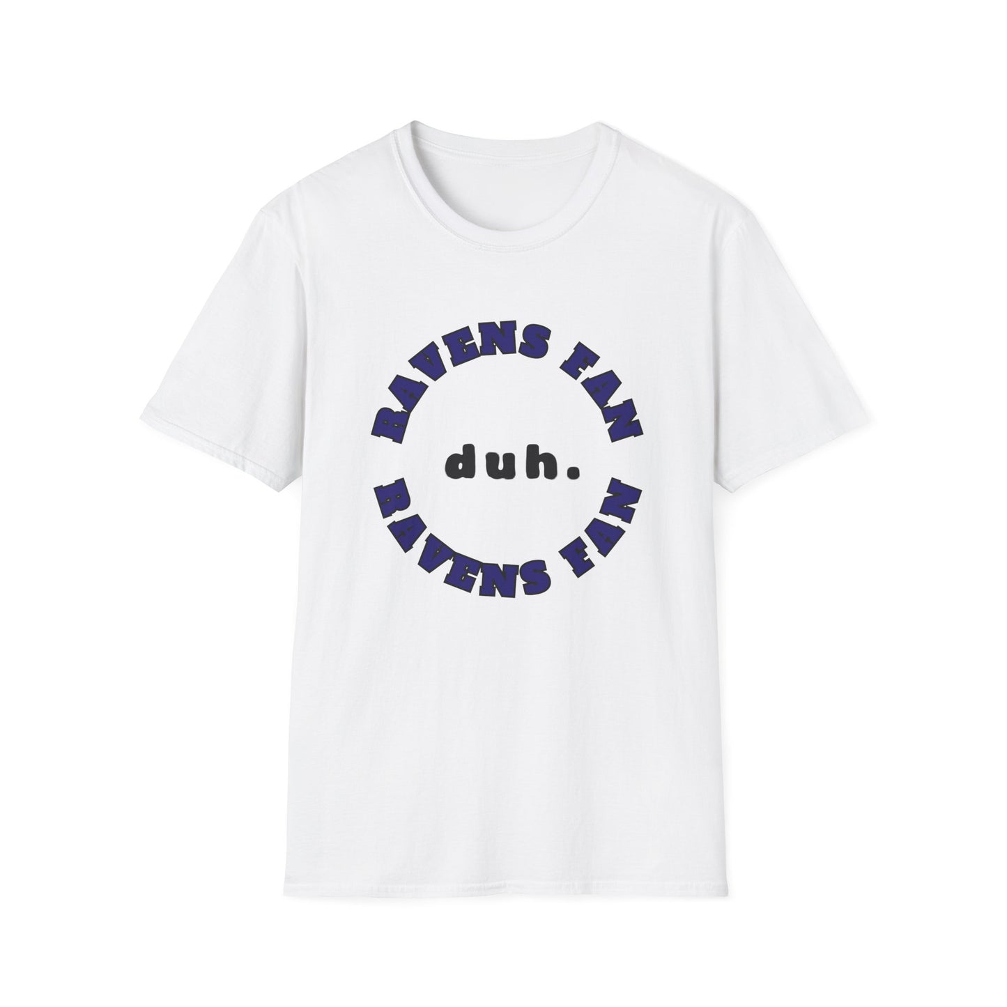 Ravens Fan Team Shirt (duh.)